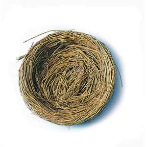Bird's Nest
