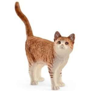 Cat Miniature