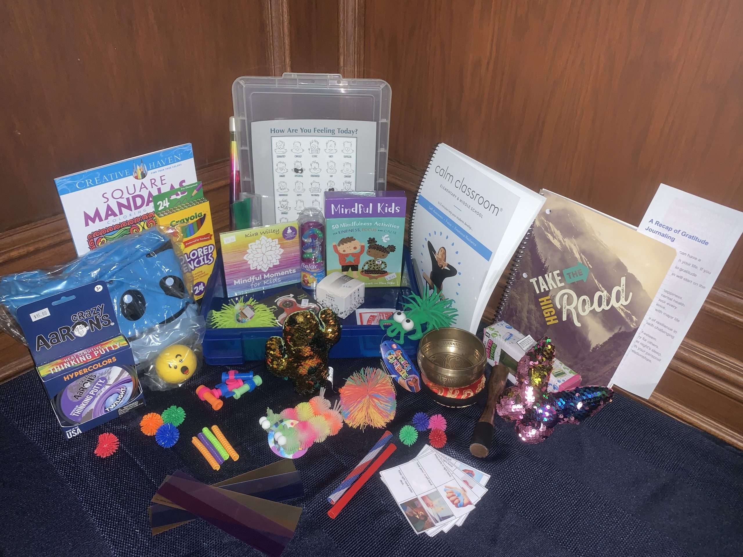 sensory kit deluxe expanded scaled