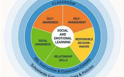 Focus on… Social Emotional Learning (SEL)