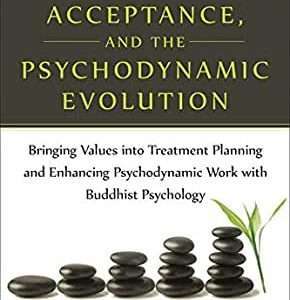 Mindfulness, Acceptance, and the Psychodynamic Evolution: Bringing Values into Treatment Planning and Enhancing Psychodynamic Work with Buddhist ... Mindfulness and Acceptance Practica Series) - Stewart, Jason