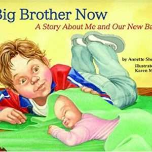 Big Brother Now: A Story About Me and Our New Baby - Annette Sheldon