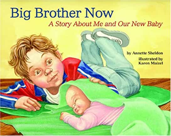 Big Brother Now: A Story About Me and Our New Baby – Annette Sheldon ...