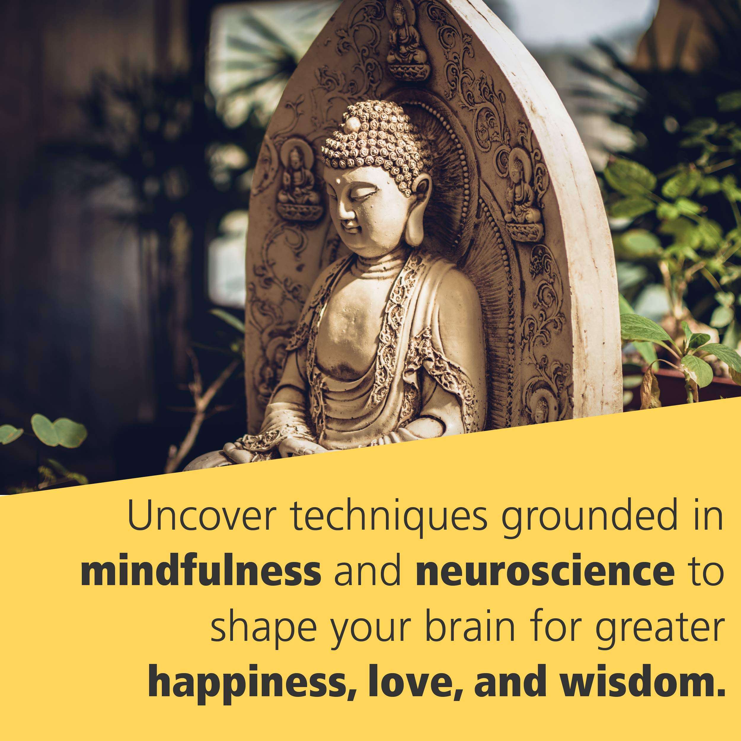 Buddha's Brain: The Practical Neuroscience of Happiness, Love, and Wisdom -Rick Hanson, Richard Mendius - Image 8