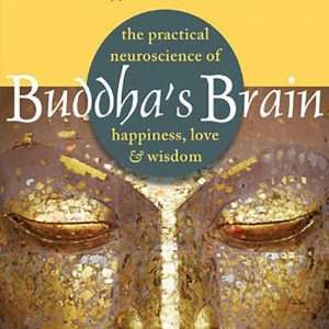 Buddha's Brain: The Practical Neuroscience of Happiness, Love, and Wisdom -Rick Hanson, Richard Mendius