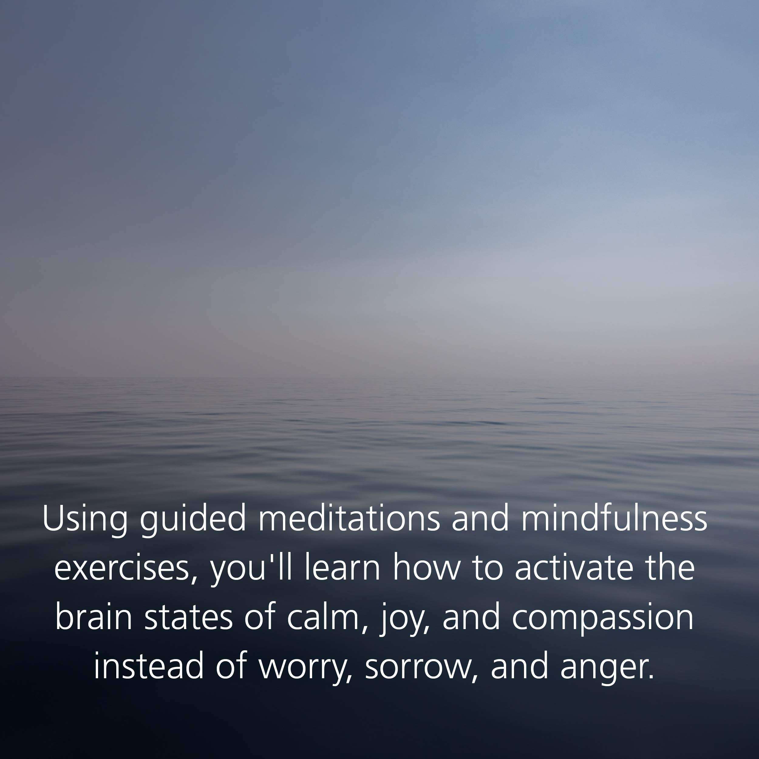 Buddha's Brain: The Practical Neuroscience of Happiness, Love, and Wisdom -Rick Hanson, Richard Mendius - Image 5