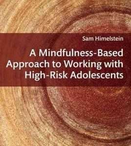 Mindfulness Based Approach - Himelstein, Sam