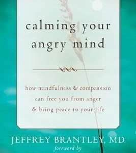Calming Your Angry Mind: How Mindfulness & Compassion Can Free You From Anger and Bring Peace to Your Life - Jeffrey Brantley
