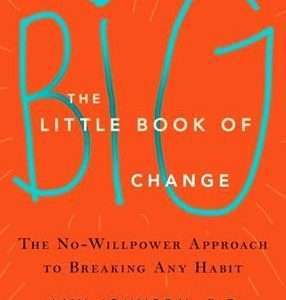 Big Little Book of Change (The): The No-Willpower Approach to Breaking Any Habit - Amy Johnson