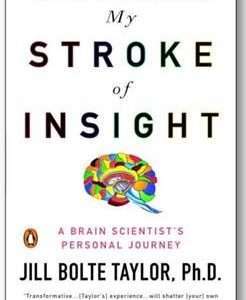 My Stroke of Insight