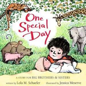 One Special Day: A Story for Big Brothers & Sisters - Lola M. Schaefer