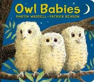 Owl Babies