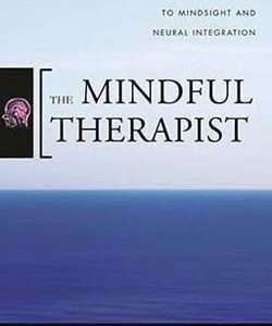The Mindful Therapist (Unabridged CD)