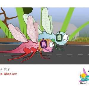 On The Fly: Mindfulness (Printable PDF book)- Tim Wheeler