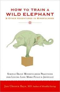 How To Train A Wild Elephant And Other Adventures In Mindfulness – Jan Chosen Bays