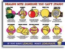 Mini Poster- Dealing with Someone You Can't Stand (Laminated 8 1/2 x 11")