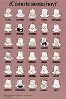 Poster- Feelings: Spanish (Laminated 18"x24")