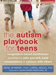 The Autism Playbook for Teens: Imagination-based mindfulness activities to calm yourself, build independence & connect with others - Irene McHenry Carol Moog