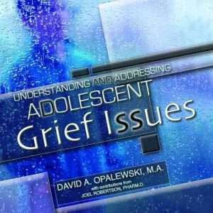 Understanding and Addressing Adolescent Grief Issues: A Manual for Any Caring Adult Dealing with Grief in Middle and High School Students- Dave Opalewski, Joel Robertson