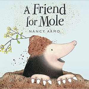 A Friend for Mole (Paperback)