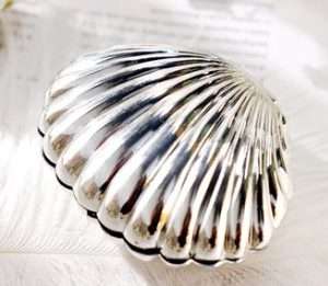 Plastic Opening Clam Shell