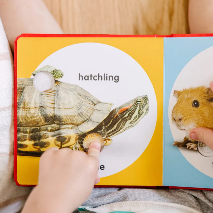 Poke-A-Dot Pet Families - Image 3