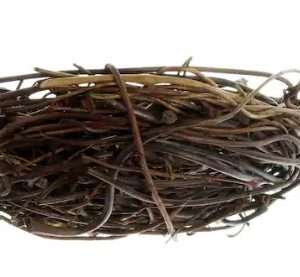 Nest Miniature