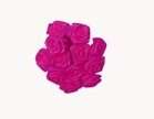 Fuschia Roses