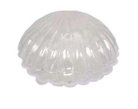 2.5" Medium Sea Shell
