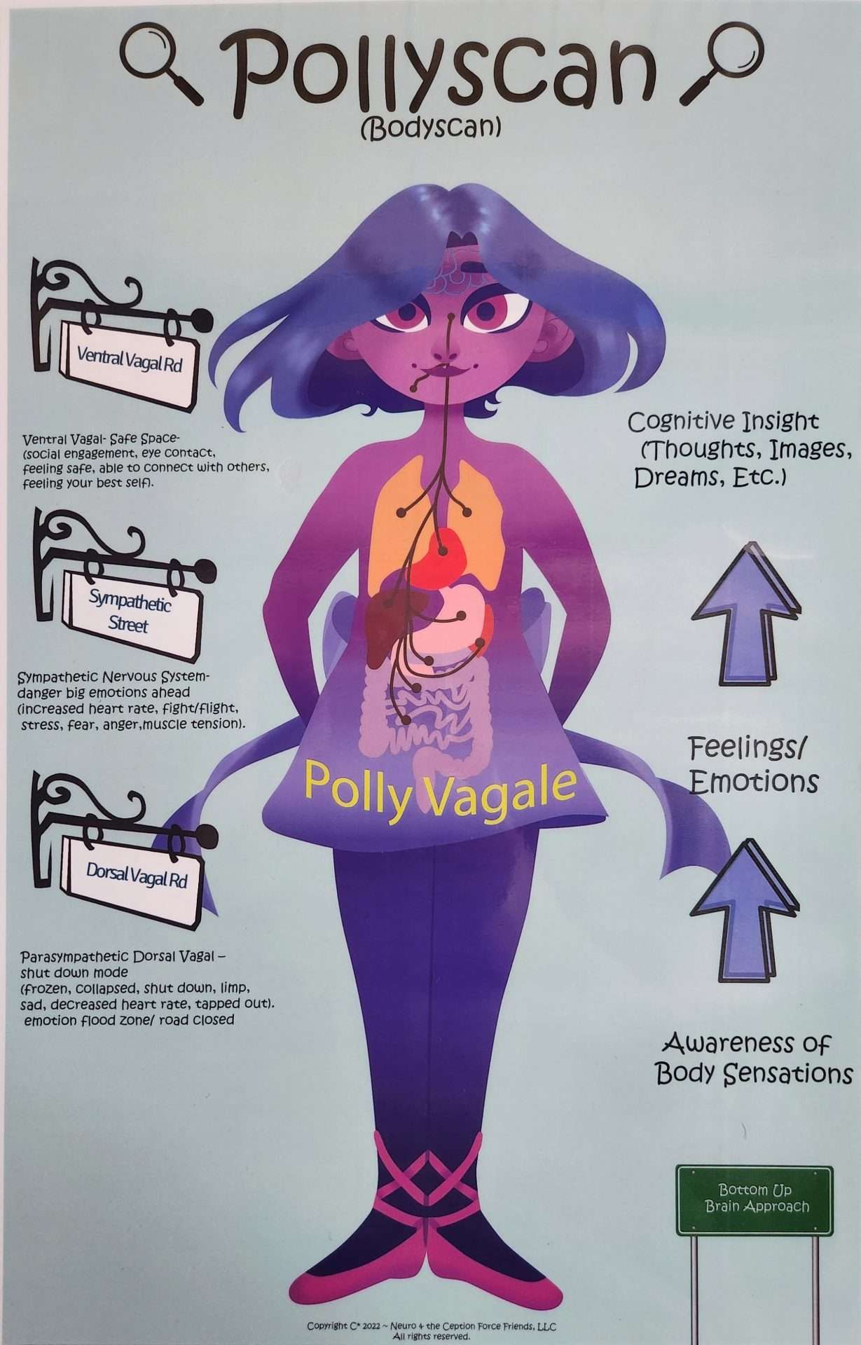 Pollyscan: Body Scans