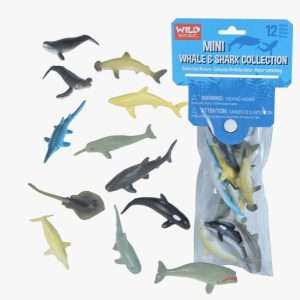 Mini Whales and Sharks Collecction
