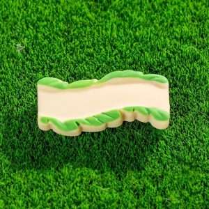 Miniature Walking Path
