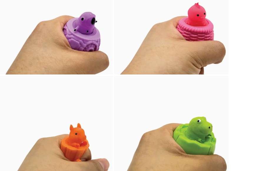 Squeeze n' Pop Fidget Toy