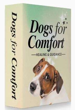 Dogs for Comfort Card Deck